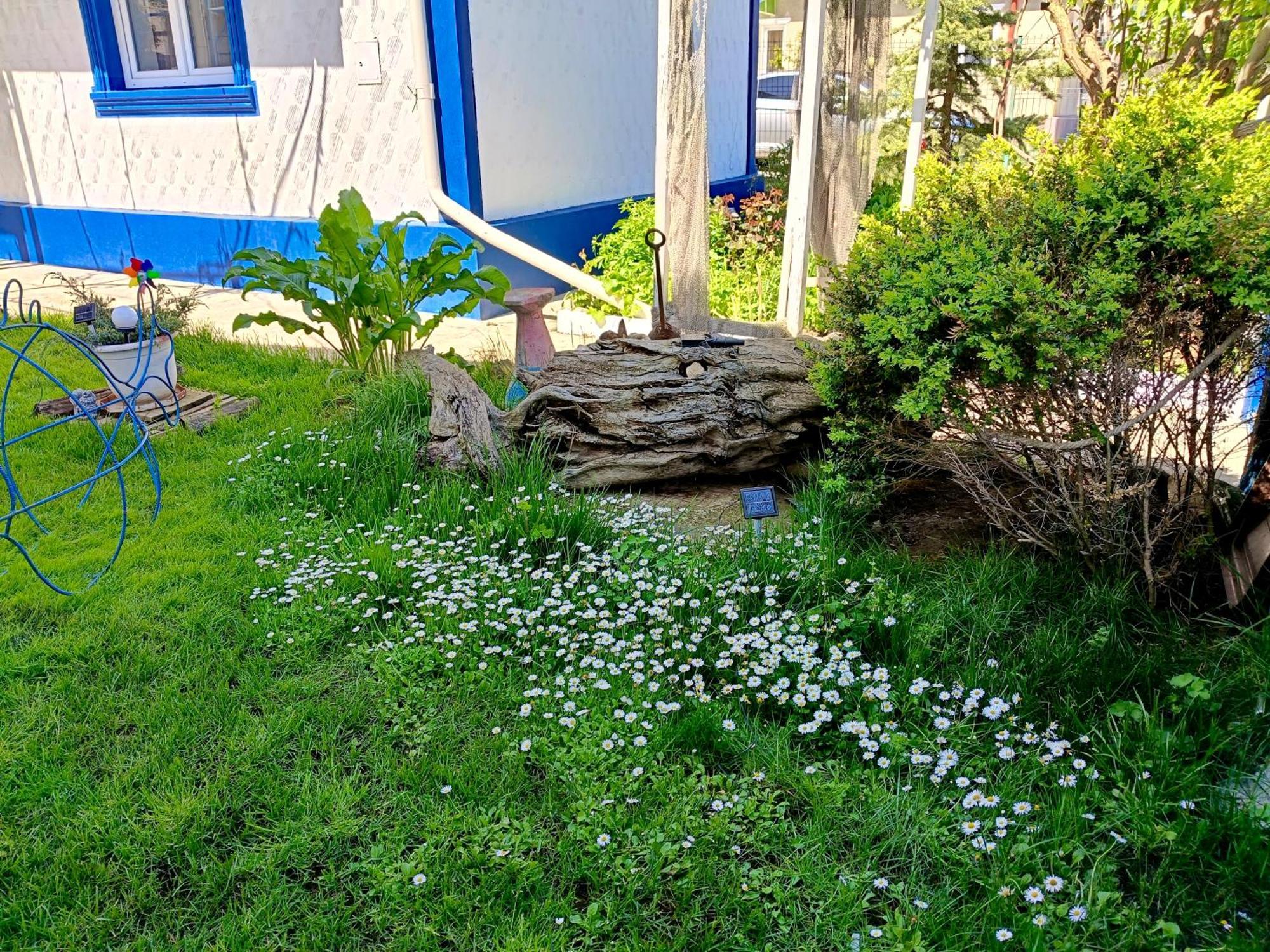 Casa Babica Guesthouse คอสติเนช ภายนอก รูปภาพ